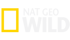 Nat Geo Wild